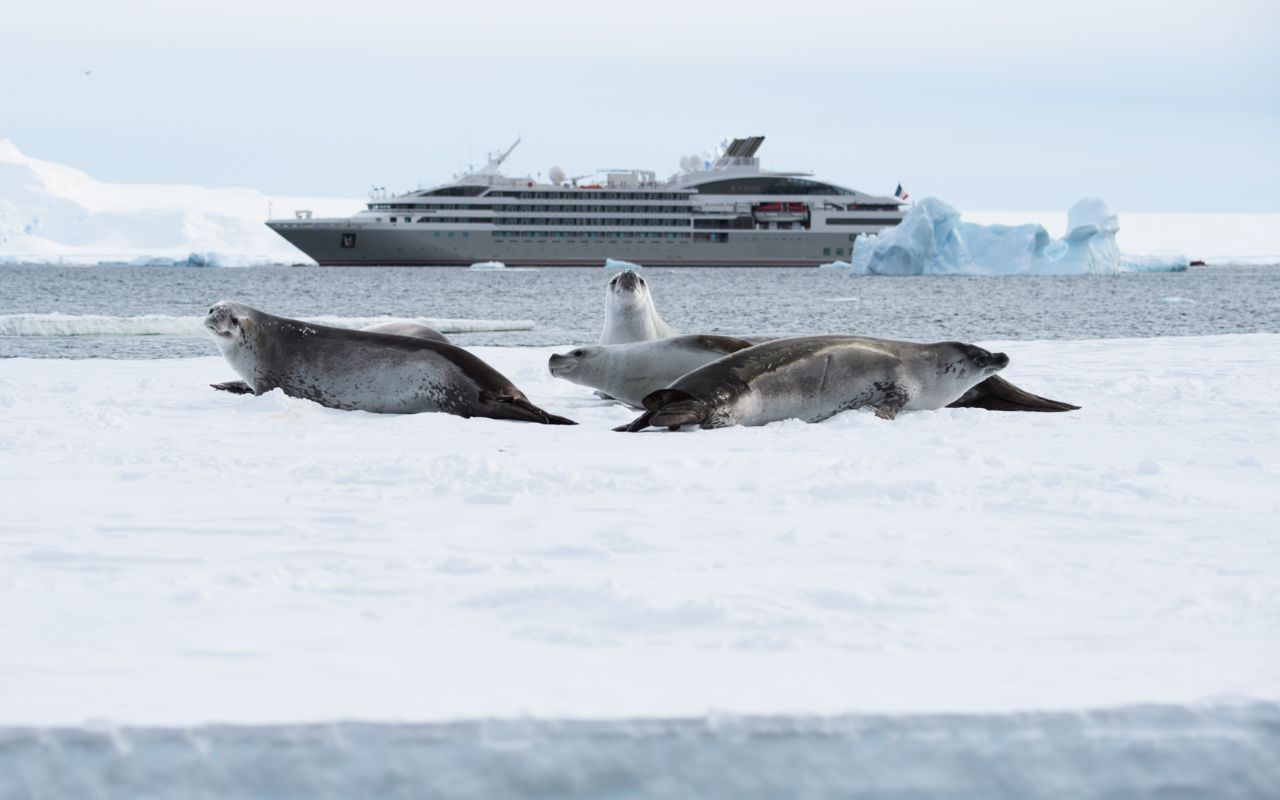 Ponant Cruises - Galeria