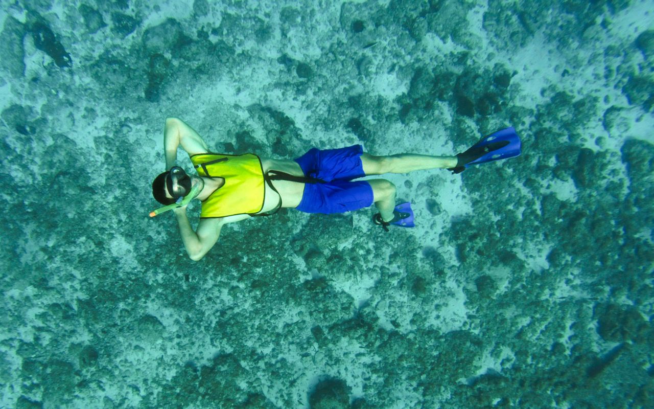Royal Caribbean International - Galeria
