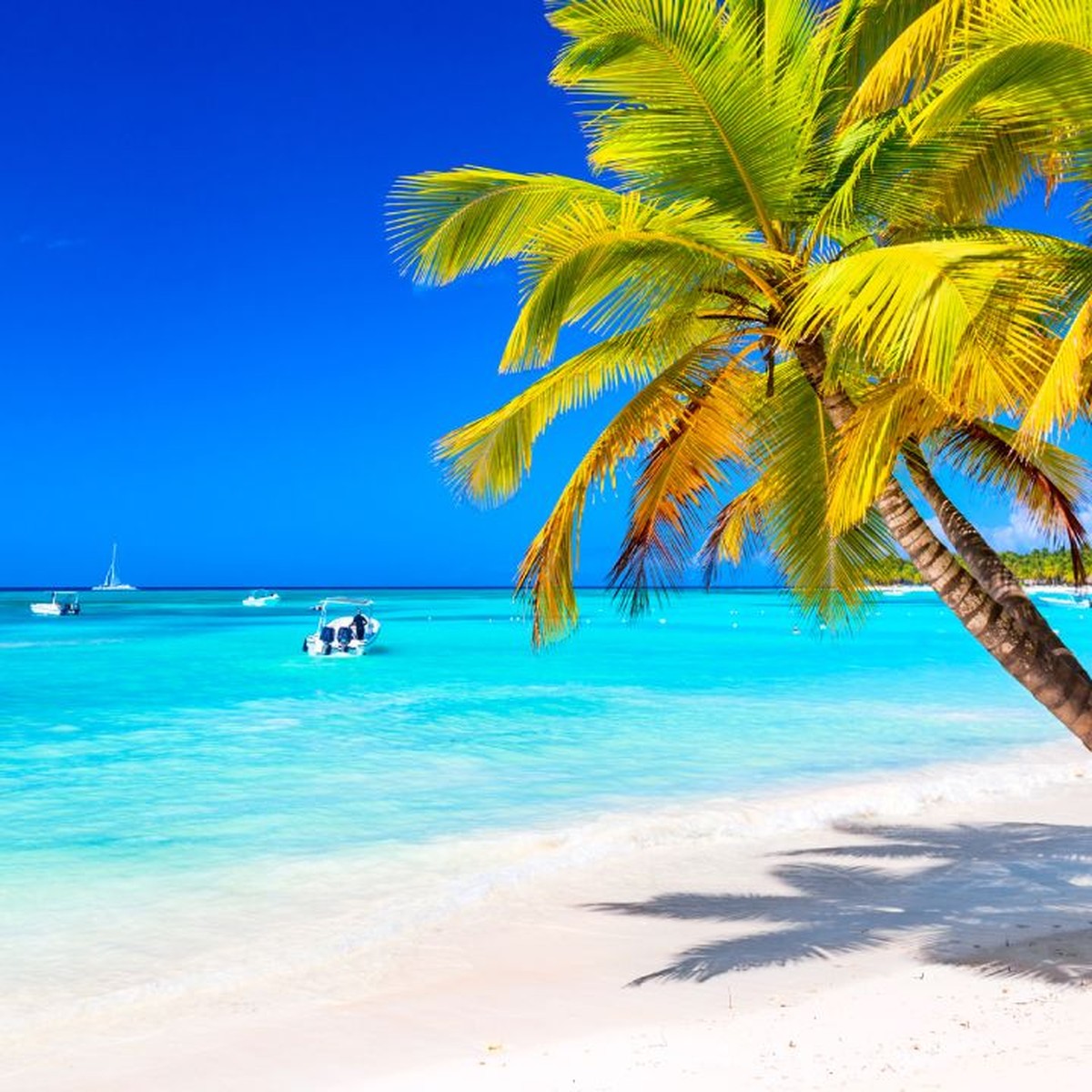 Caribe